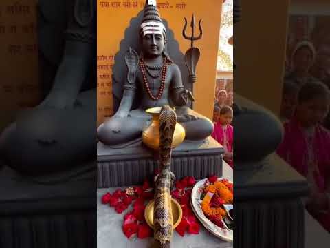 pero vale naag devta 🔱🥰#shorts