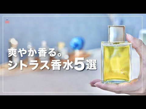 柑橘系の果物 – 果物の概要、利点、使用上のヒント