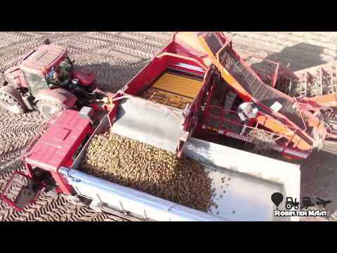Full Season With Markerink Potatoes Eibergen -- 4K -- 2020 -- Netherlands