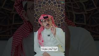 مسائل نافع بن الأزرق لابن عباس: معنى (وإذا البحار سُجِّرت) image