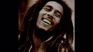 Bob Marley &amp; The Wailers   Craven Choke Puppy