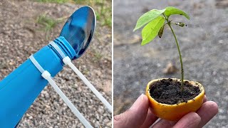 12 טיפים וטריקים פשוטים לגינון