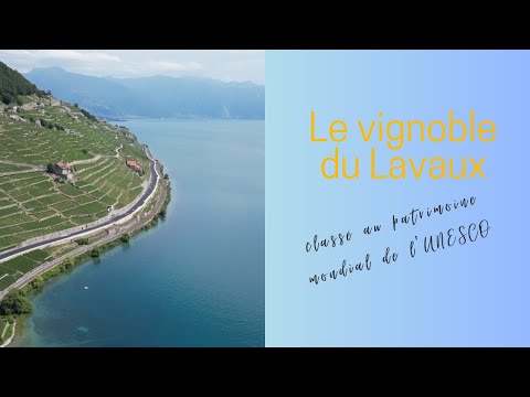 Quoi visiter au Lavaux en Suisse ?