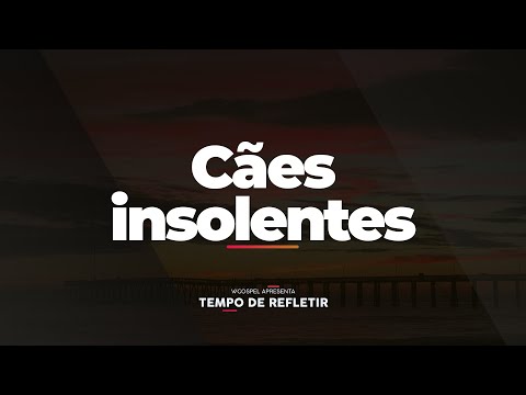 [Tempo de Refletir] Cães insolentes