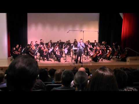 Prelude String Orchestra - A River Rhapsody
