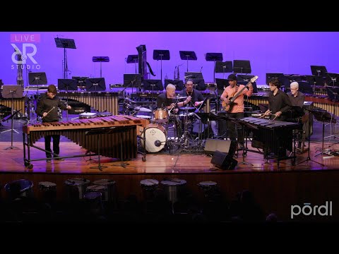 Vix 9 - Victor Wooten and Gregg Bissonette - Béla Fleck - Amazing Cover