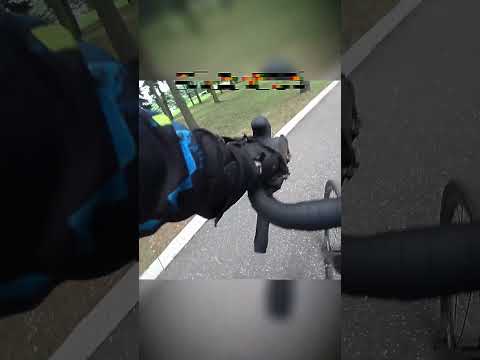 ПЁС спас байкера от диких собак 🫢