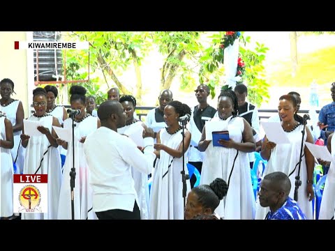 Noe, Noe Omulokozi Azaliddwa