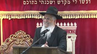 ביאור התפילה - אמת ויציב | הרב יורם סרי