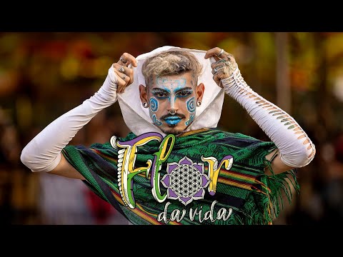 Rabbit @ Flor da Vida 2025 Full Video