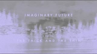 The Thick and The Thin - Imaginary Future (Official Stream)