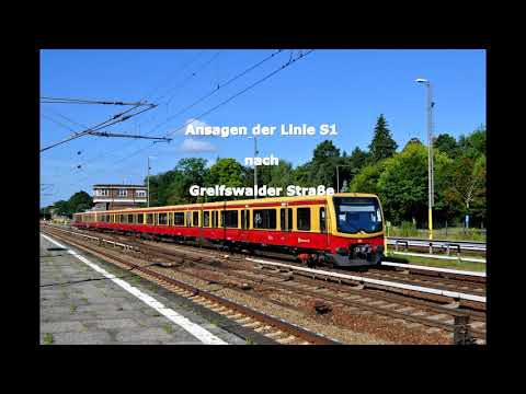 S-Bahn Berlin, Ansagen, S1 Berlin Wannsee - Oranienburg