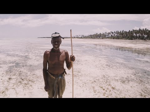 Zanzibar - Hakuna Matata