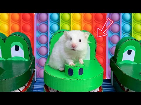 Colorful POP IT Dinosaur Maze 🐹 Hamster Story