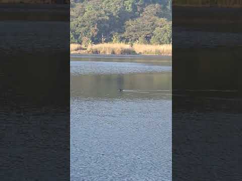 Apaneca, Laguna Verde, Ruta de las flores, sonsonate, ahuachapan