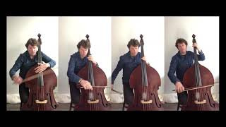 West Side Basses by the Fantastic Mr Seldis!