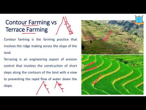 What is Contour Farming- Terrace Farming ? |Contour And Terrace Farming అంటే ఏమిటి?