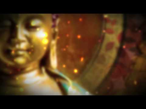 Amor Parte 1 - Buddha-Lounge 6 - Achillea featuring Jens Gad and Luisa Fernandez