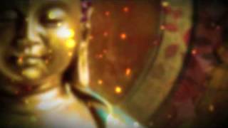 Amor Parte 1 - Buddha-Lounge 6 - Achillea featuring Jens Gad and Luisa Fernandez