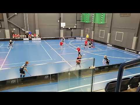 Koovee Musta P12 - Pirkat White P11