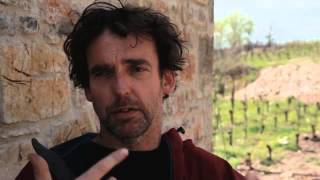 preview picture of video 'What is Canaiolo?  Sean O'Callaghan on the Tuscan wine grape.'
