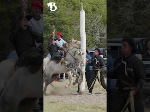 🐎 XV versión del Festival de Jineteadas de Villa La Tapera, Chile, Categoría Basto con encimera