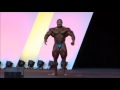 Roelly