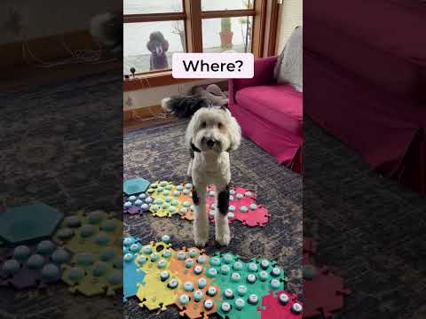 Yet another relatable moment from Bunny... | What About Bunny #whataboutbunny