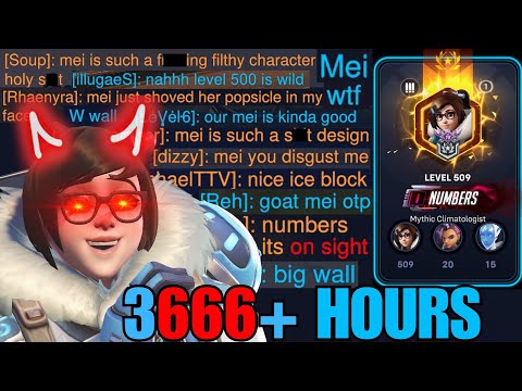 What 3666+ Hours of MEI Looks Like - Overwatch 2