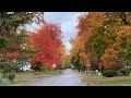 Fall Colors In An Old Suburban Neighborhoods In New York USA Driving Tour