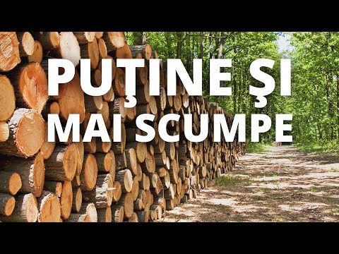 Cât lemn pentru iarnă avem în ţară şi care sunt preţurile? La ce scumpiri să ne aşteptăm