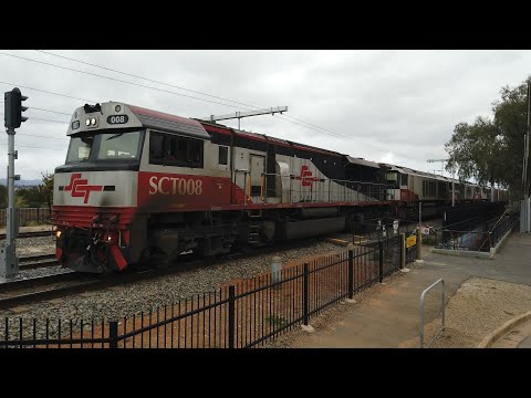 SCT008 + CSR005 + CSR012 + CSR003 #5MP9