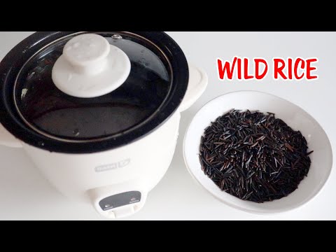 How To Make Wild Rice In A Dash Mini Rice Cooker