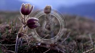 Four Tet - Circling (Astrea Re-Touch)