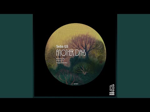 Another Days (Franzis-D Remix)