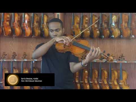 DZ Strad Model 800 Viola 15.5″ – Brand New – Adjustable Case & 2 Bows image 10