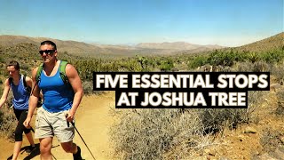 5 Key Stops/1 Day - Joshua Tree National Park
