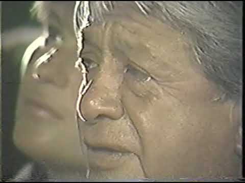 Gonzalo Benitez, Desesperacion