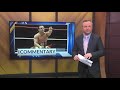 Wrestling Inc Dynamite Kid Commentary