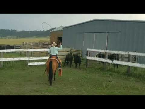 Houlihan slow motion