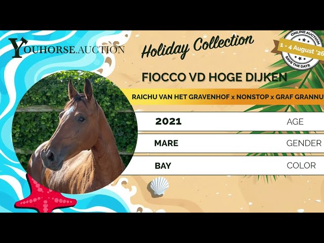 Fiocco vd Hoge Dijken