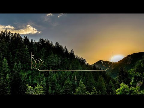 JW.ORG SONGS MID WEEK BROADCAST SONGS - nature and music for relaxation