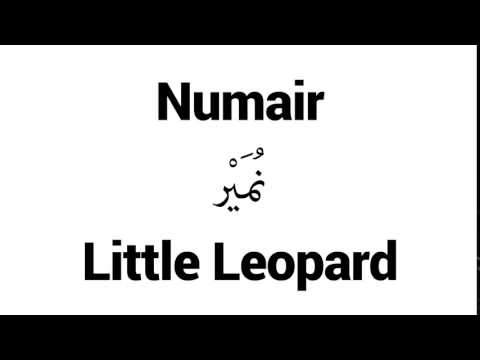 How to Pronounce Numair! - Middle Eastern Names