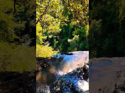 Gruta Nossa Senhora da Salete | Vista Alegre-RS #cachoeira #gruta #riograndedosul #interior #nature