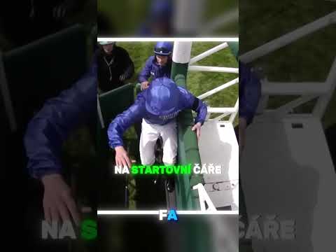 KŮŇ VYHRÁL ZÁVOD BEZ JEZDCE 😱🐴