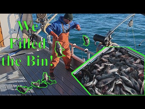 Stringers of Rockfish! - Jigging in Alaska! | Backlog Pt.3 (April 2025)