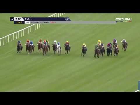 G1・英ChスプリントS 2025 / Qipco British Champions Sprint Stakes 2025