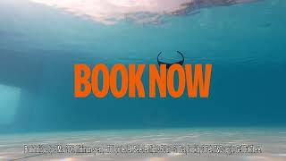 EasyJet Big Orange Sale (2025 Promotional Campaign)