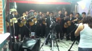 Rondalla de tiry en tv