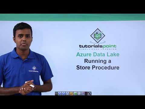 Running a Store Procedure